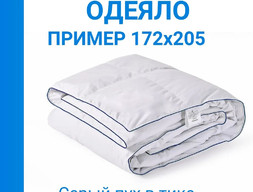 Одеяло пуховое кассетное 2,0 Спальное 4933